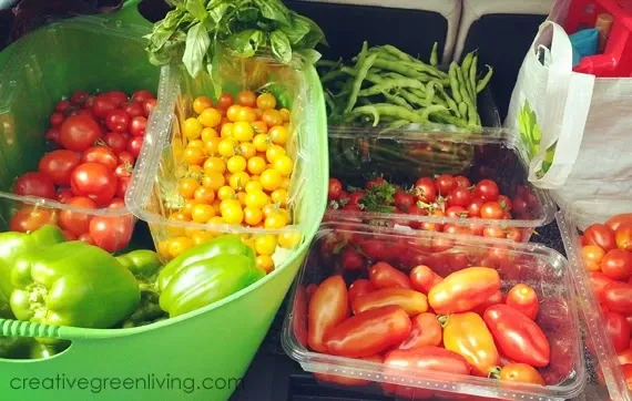 Best tomato growing secrets for getting lots of tomatoes Boxes and bins full of different kinds of tomatoes including small salad tomatoes, roma tomatoes and heirloom tomatoes